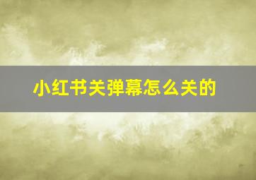 小红书关弹幕怎么关的