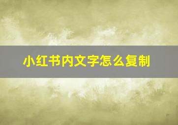 小红书内文字怎么复制