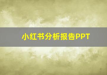 小红书分析报告PPT