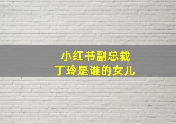 小红书副总裁丁玲是谁的女儿