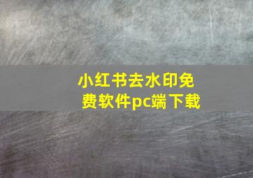 小红书去水印免费软件pc端下载