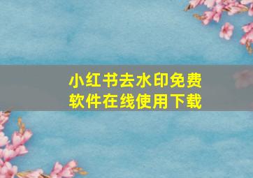 小红书去水印免费软件在线使用下载