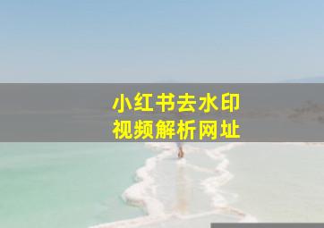 小红书去水印视频解析网址