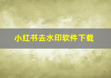 小红书去水印软件下载