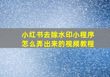 小红书去除水印小程序怎么弄出来的视频教程