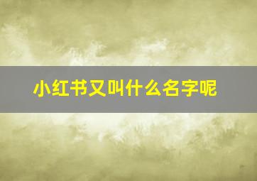 小红书又叫什么名字呢