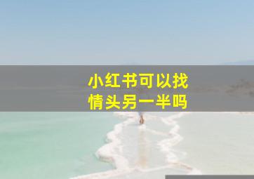 小红书可以找情头另一半吗