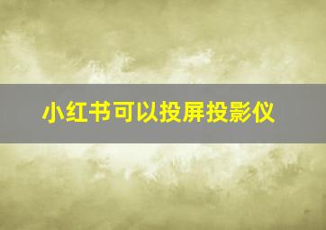 小红书可以投屏投影仪