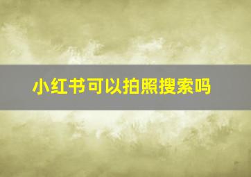 小红书可以拍照搜索吗