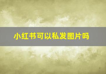 小红书可以私发图片吗