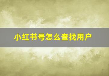 小红书号怎么查找用户