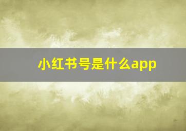 小红书号是什么app