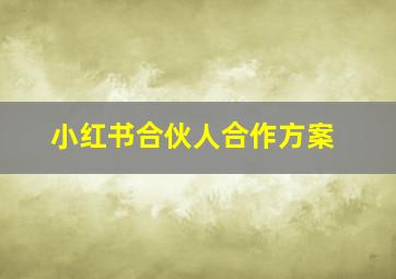 小红书合伙人合作方案