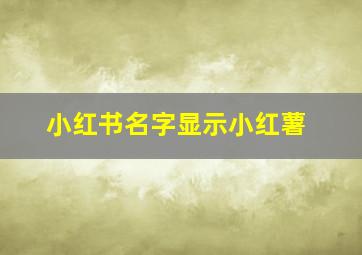 小红书名字显示小红薯