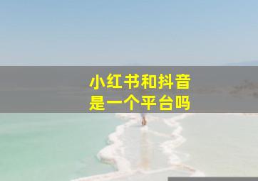 小红书和抖音是一个平台吗