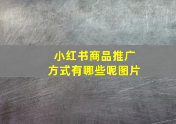 小红书商品推广方式有哪些呢图片