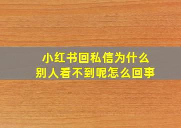 小红书回私信为什么别人看不到呢怎么回事