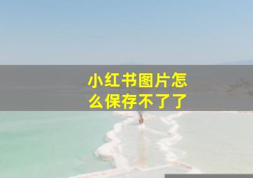 小红书图片怎么保存不了了