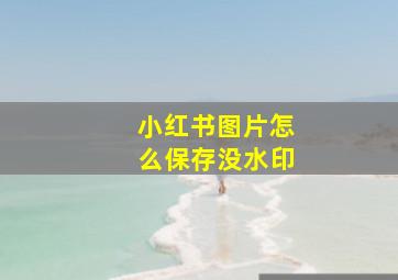 小红书图片怎么保存没水印