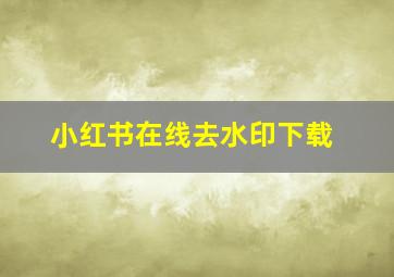 小红书在线去水印下载