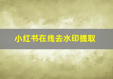 小红书在线去水印提取