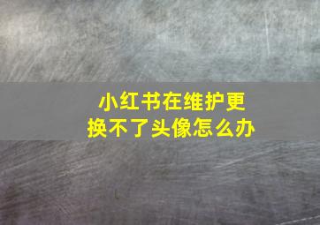 小红书在维护更换不了头像怎么办