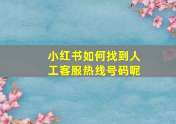 小红书如何找到人工客服热线号码呢