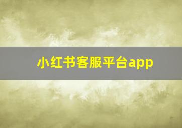 小红书客服平台app