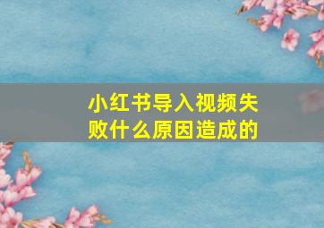 小红书导入视频失败什么原因造成的