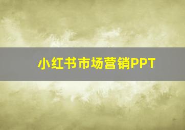 小红书市场营销PPT