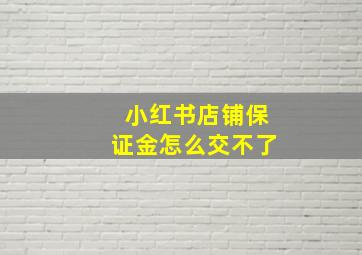 小红书店铺保证金怎么交不了