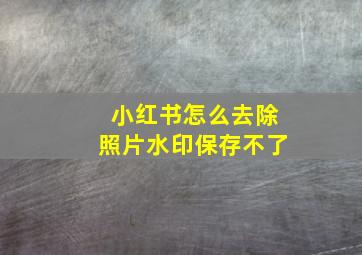 小红书怎么去除照片水印保存不了