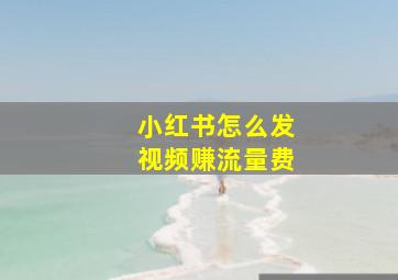 小红书怎么发视频赚流量费