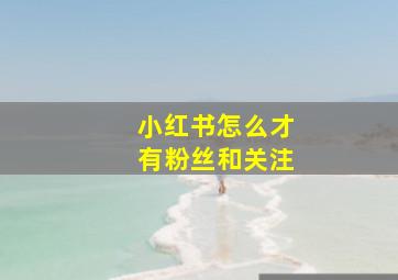 小红书怎么才有粉丝和关注