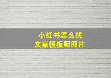 小红书怎么找文案模板呢图片