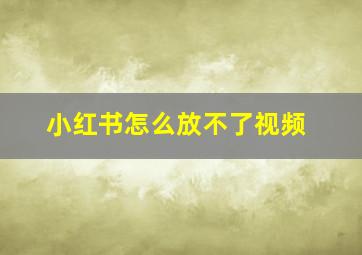 小红书怎么放不了视频