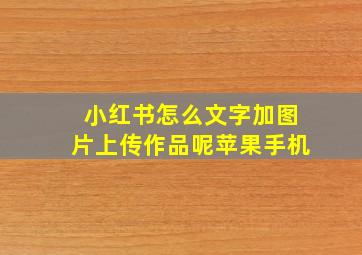 小红书怎么文字加图片上传作品呢苹果手机