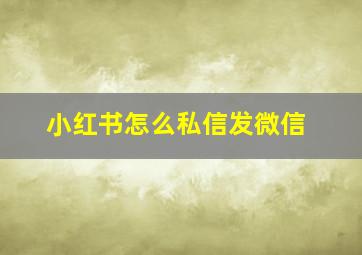 小红书怎么私信发微信