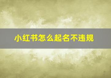 小红书怎么起名不违规