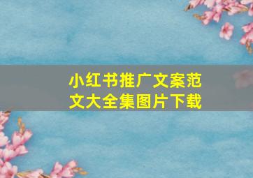 小红书推广文案范文大全集图片下载