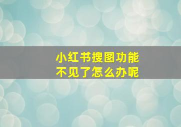 小红书搜图功能不见了怎么办呢