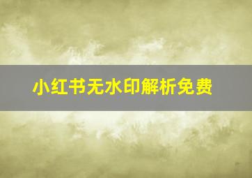 小红书无水印解析免费