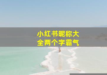 小红书昵称大全两个字霸气