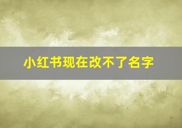 小红书现在改不了名字