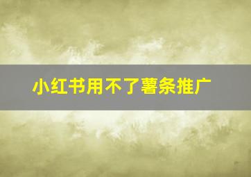 小红书用不了薯条推广