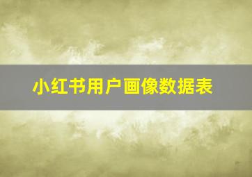 小红书用户画像数据表