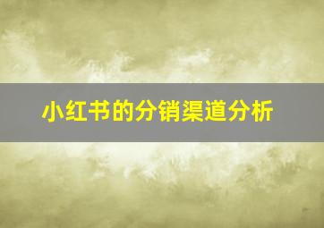 小红书的分销渠道分析