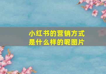 小红书的营销方式是什么样的呢图片