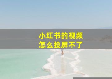 小红书的视频怎么投屏不了