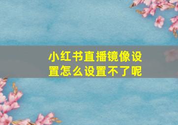 小红书直播镜像设置怎么设置不了呢